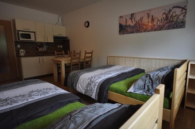 Studio Apartments Lipno 22, 24 Lipno nad Vltavou Pokój zdjęcie