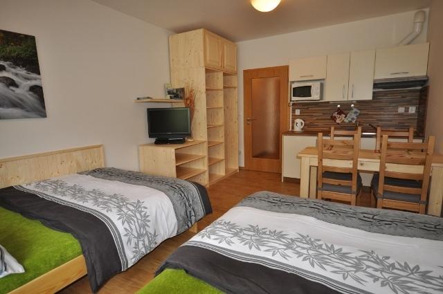 Studio Apartments Lipno 22, 24 Lipno nad Vltavou Pokój zdjęcie