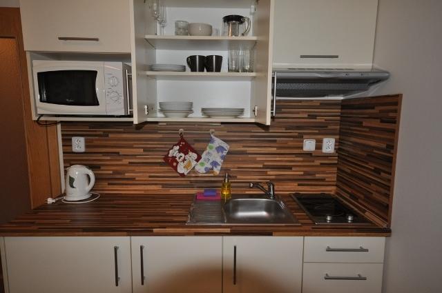 Studio Apartments Lipno 22, 24 Lipno nad Vltavou Pokój zdjęcie