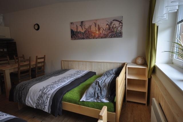 Studio Apartments Lipno 22, 24 Lipno nad Vltavou Pokój zdjęcie