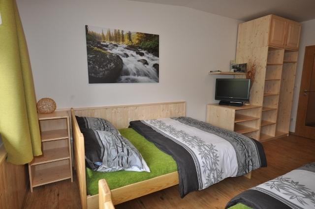 Studio Apartments Lipno 22, 24 Lipno nad Vltavou Pokój zdjęcie
