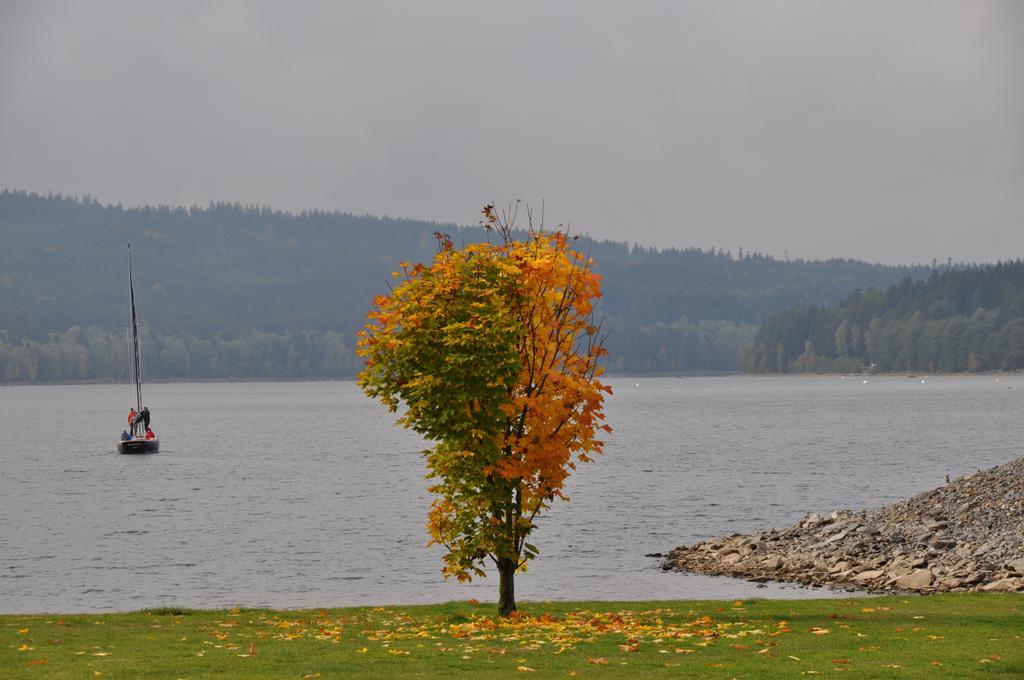 Studio Apartments Lipno 22, 24 Lipno nad Vltavou Pokój zdjęcie