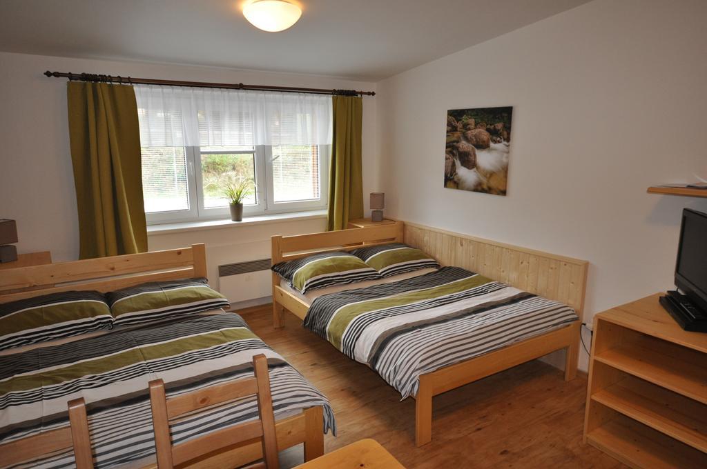 Studio Apartments Lipno 22, 24 Lipno nad Vltavou Pokój zdjęcie